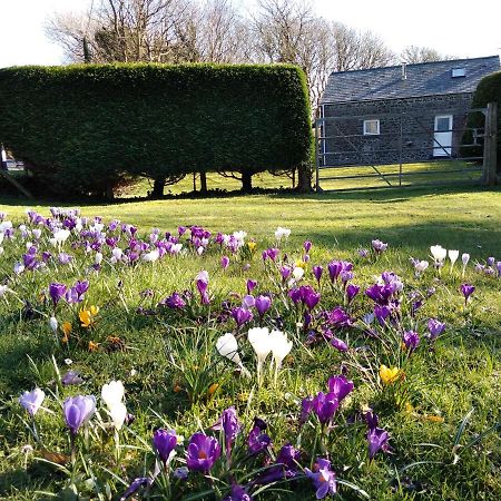 Ty R Pwmp Haverfordwest Exterior foto